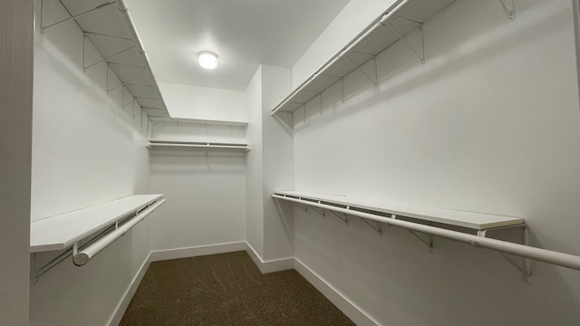 spacious closet featuring dark carpet