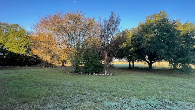 view of yard with a rural view