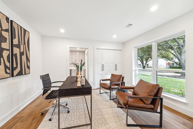 home office featuring light hardwood / wood-style floors and a wealth of natural light