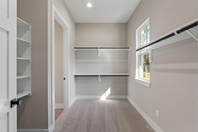 walk in closet featuring carpet floors