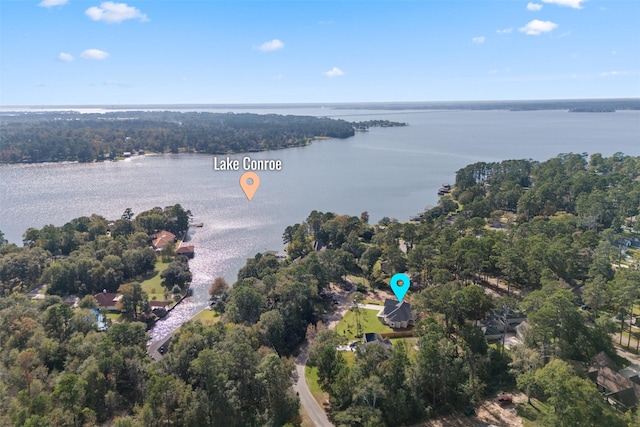 aerial view featuring a water view and a view of trees