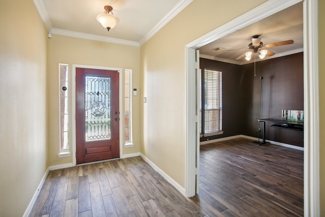 foyer with wood-type flooring and a wealth of natural light