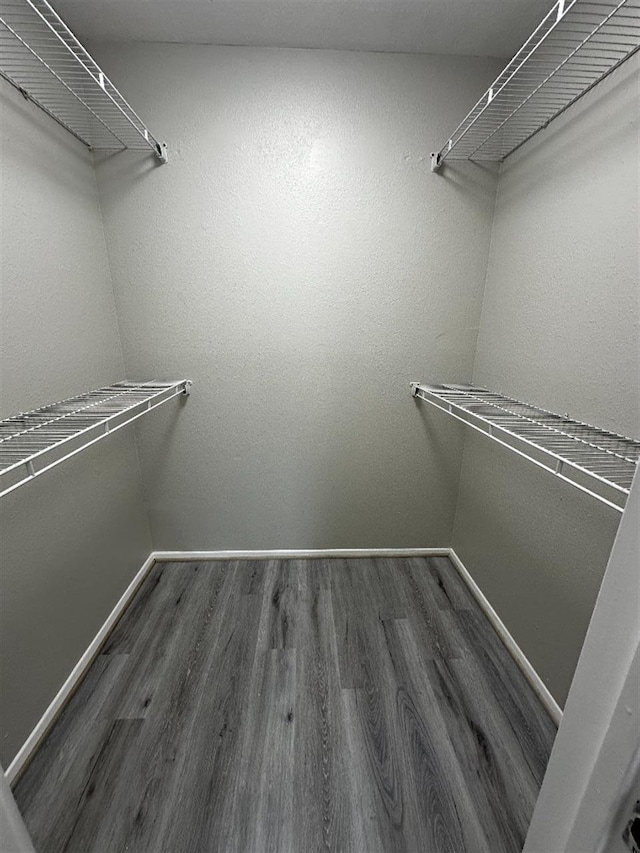 walk in closet with dark hardwood / wood-style flooring