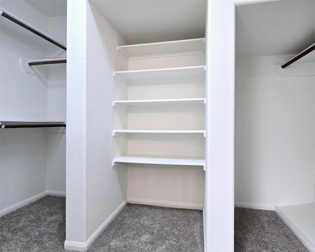 spacious closet with dark carpet