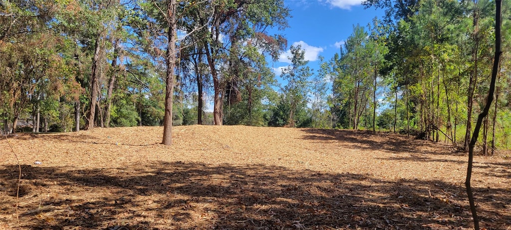 735 Stonewall Jackson Dr, Conroe, TX 77302