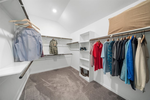 spacious closet with carpet and lofted ceiling