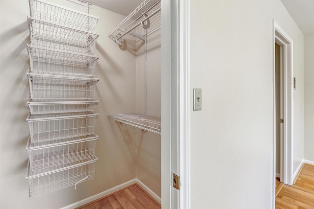 spacious closet with hardwood / wood-style flooring