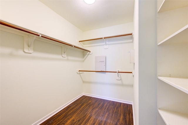 spacious closet featuring dark hardwood / wood-style flooring