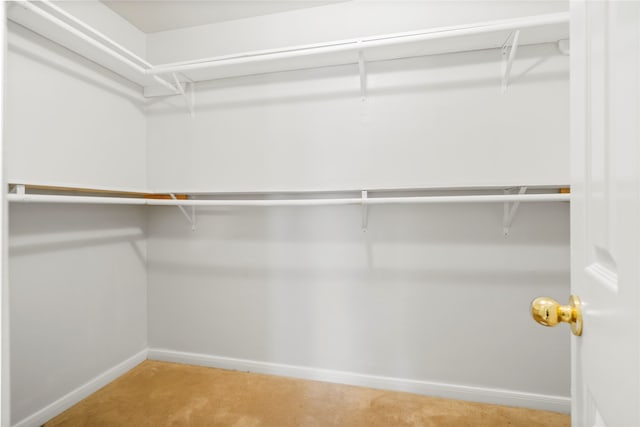 spacious closet with carpet flooring