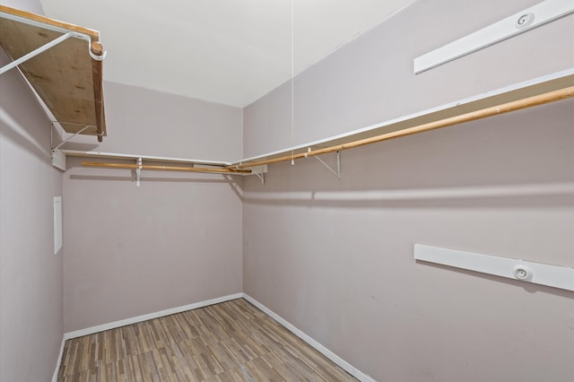 walk in closet with hardwood / wood-style floors