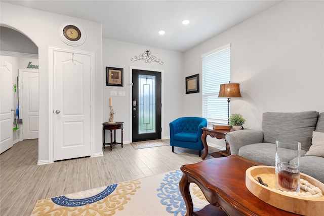 living room featuring light hardwood / wood-style flooring