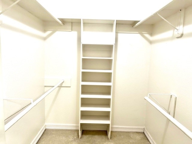 walk in closet with carpet floors