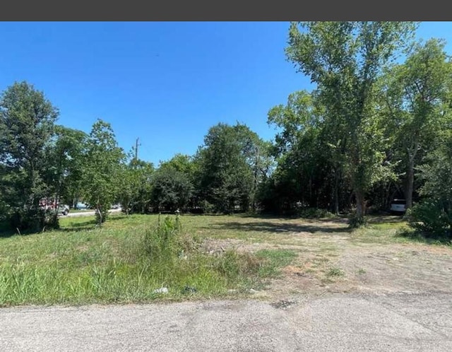 10131 Dobie St, Houston TX, 77033 land for sale