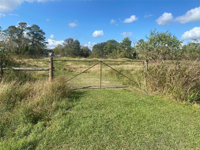 000 Ghinaudo Rd, Hitchcock, TX 77563 - photo 6