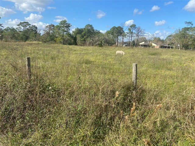 000 Ghinaudo Rd, Hitchcock, TX 77563 - photo 7