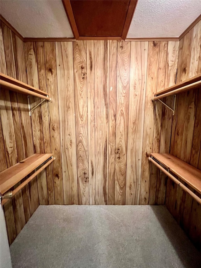 spacious closet featuring carpet floors