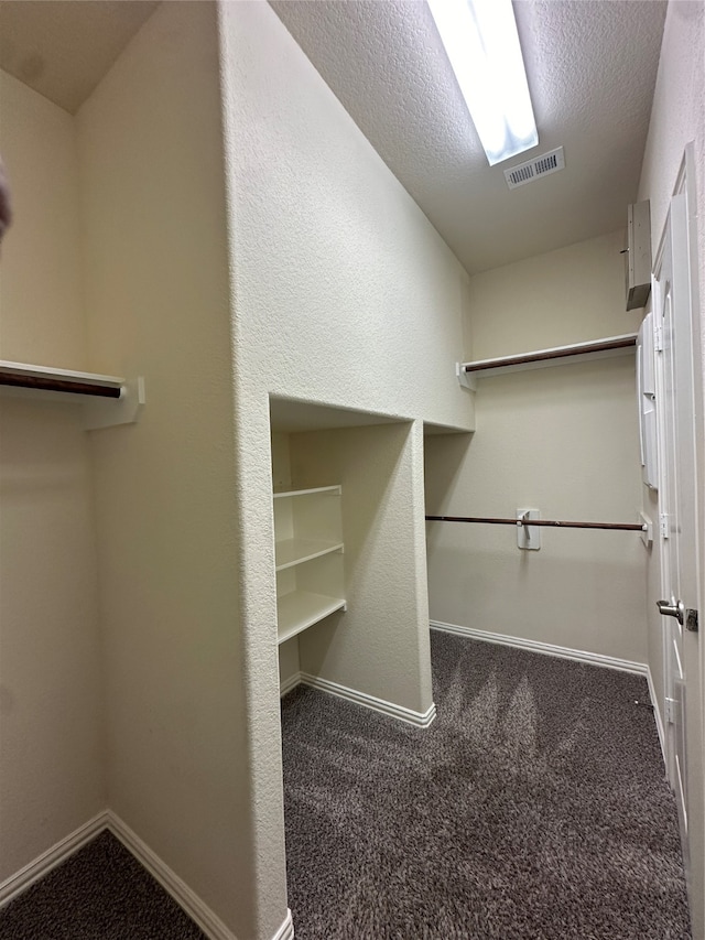 spacious closet with carpet