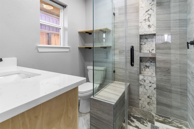 bathroom featuring vanity, toilet, and a shower with door