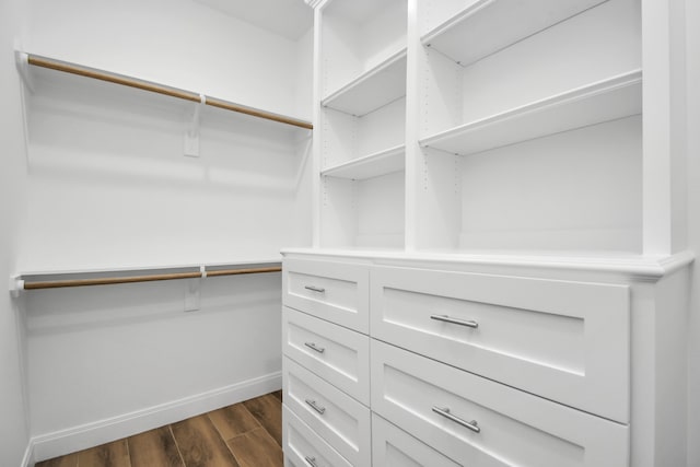 spacious closet featuring dark hardwood / wood-style flooring