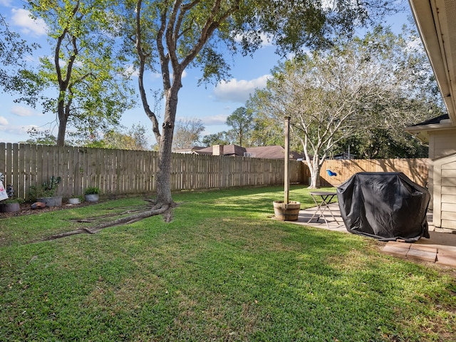 view of yard with a patio