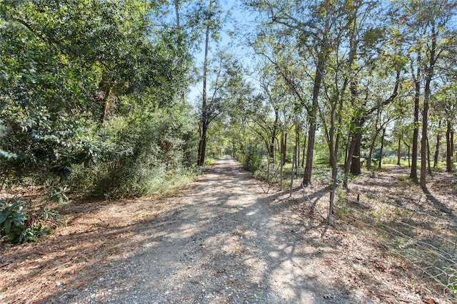 view of road