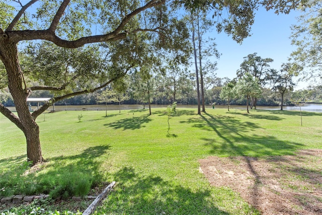 view of yard featuring a water view