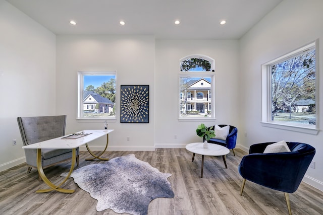 office space featuring a healthy amount of sunlight and light hardwood / wood-style floors