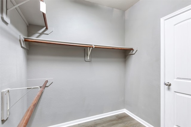 spacious closet with wood-type flooring