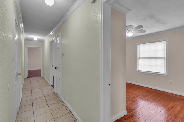 hallway with ornamental molding and light wood-type flooring