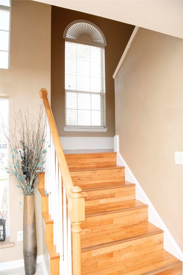 stairs with a wealth of natural light and hardwood / wood-style floors