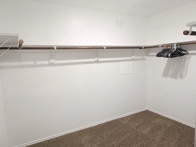 walk in closet featuring carpet