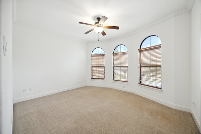 carpeted spare room with ceiling fan and crown molding