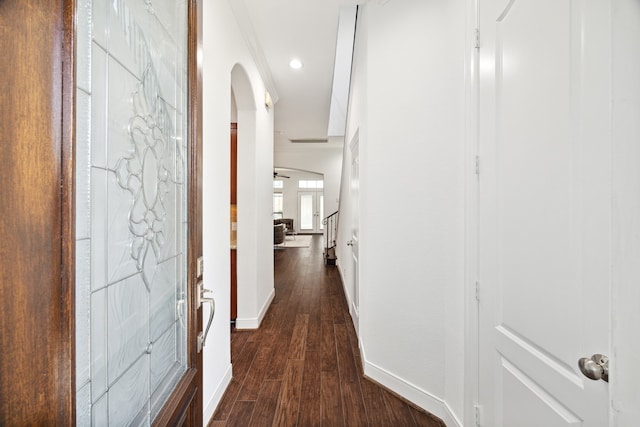 corridor with dark hardwood / wood-style flooring and crown molding