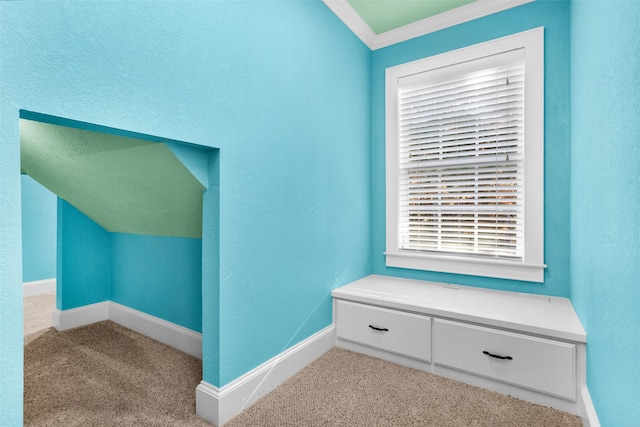 interior space with light colored carpet