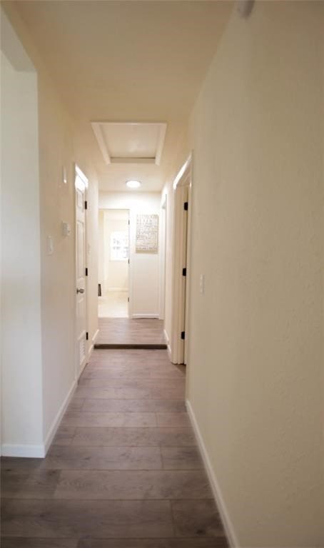 corridor with a tray ceiling and dark hardwood / wood-style flooring