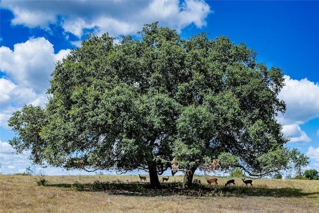 6230 Kovar Rd, Fayetteville TX, 78940 land for sale