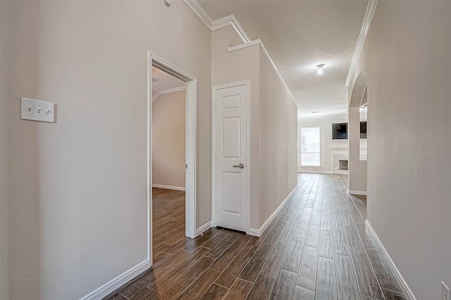 hallway featuring crown molding and dark wood-type flooring