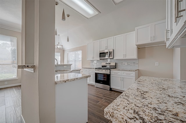 kitchen with hanging light fixtures, light stone counters, dark hardwood / wood-style floors, white cabinets, and appliances with stainless steel finishes