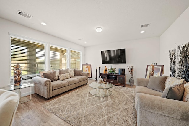 living room with hardwood / wood-style floors