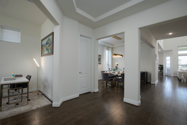 corridor with a raised ceiling and dark hardwood / wood-style flooring