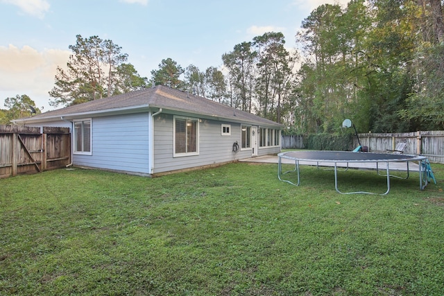 rear view of property with a lawn and a trampoline