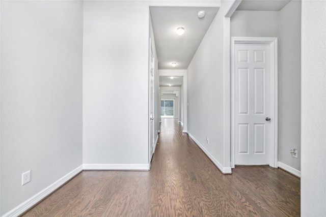 corridor with dark wood-type flooring