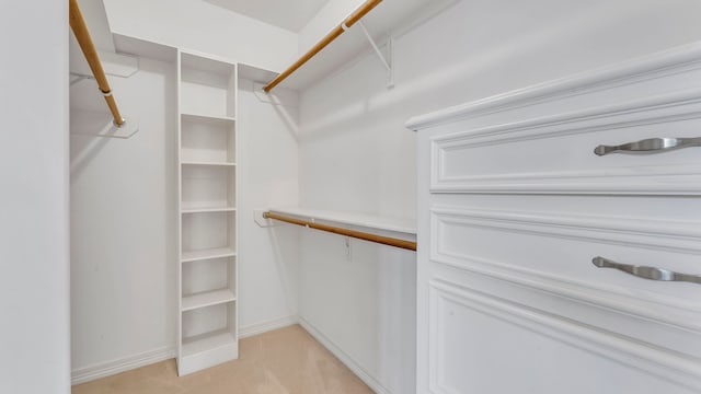 spacious closet with light colored carpet