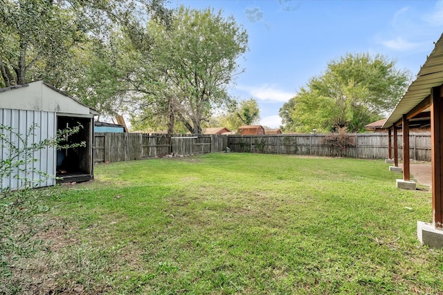 view of yard with a storage shed