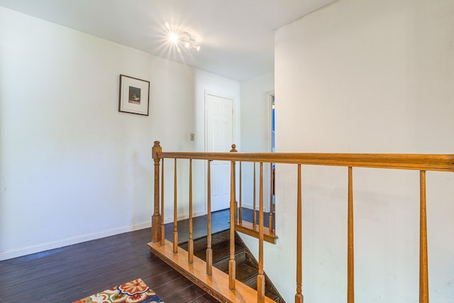 stairway with hardwood / wood-style flooring