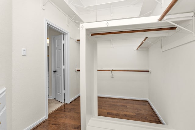 spacious closet featuring wood-type flooring