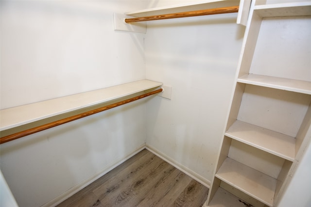 spacious closet featuring wood-type flooring