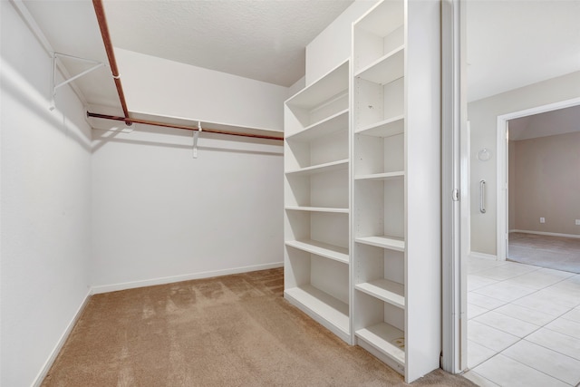 spacious closet with light colored carpet