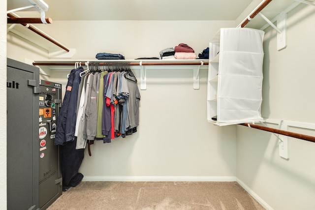 walk in closet with light colored carpet