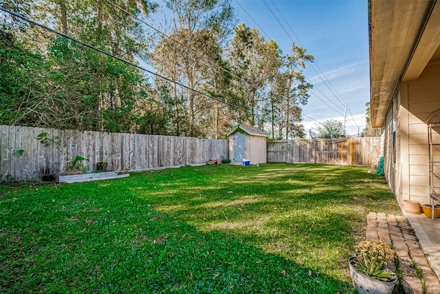 view of yard featuring a storage unit